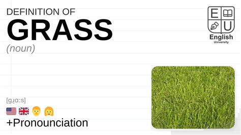 grasses meaning